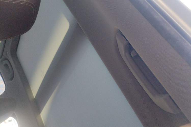 Used BMW X1 2020 sDrive20Li Premium Edition Headliner