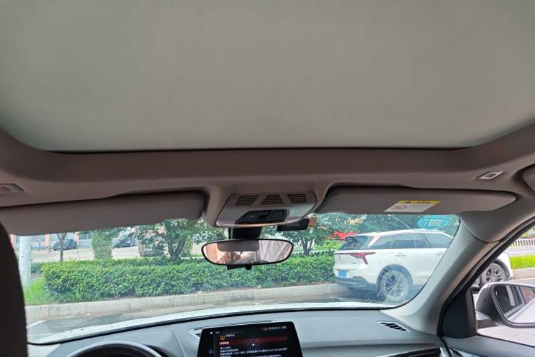 Used BMW X1 2020 sDrive20Li Fashion Model Headliner