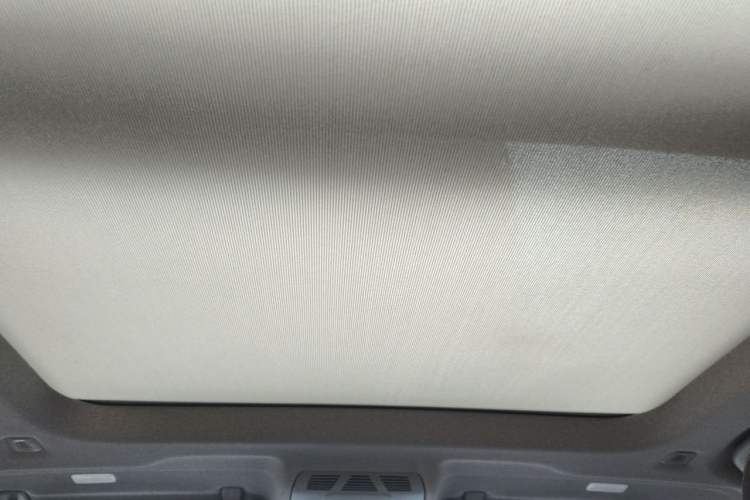 Used BMW X1 2020 sDrive20Li Premium Edition Headliner