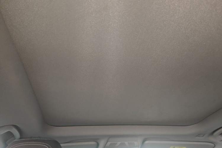 Used BMW X1 2020 sDrive25Li Leading Model Headliner