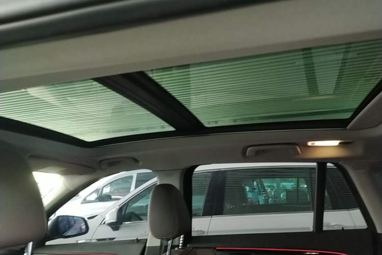 Used BMW X1 2020 sDrive20Li Premium Edition Headliner
