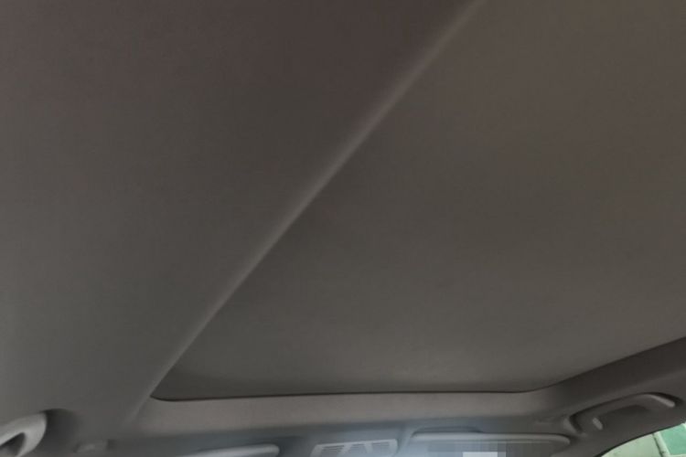 Used BMW X1 2020 sDrive20Li Premium Edition Headliner