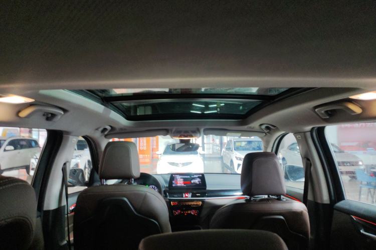 Used BMW X1 2020 sDrive20Li Premium Edition Headliner