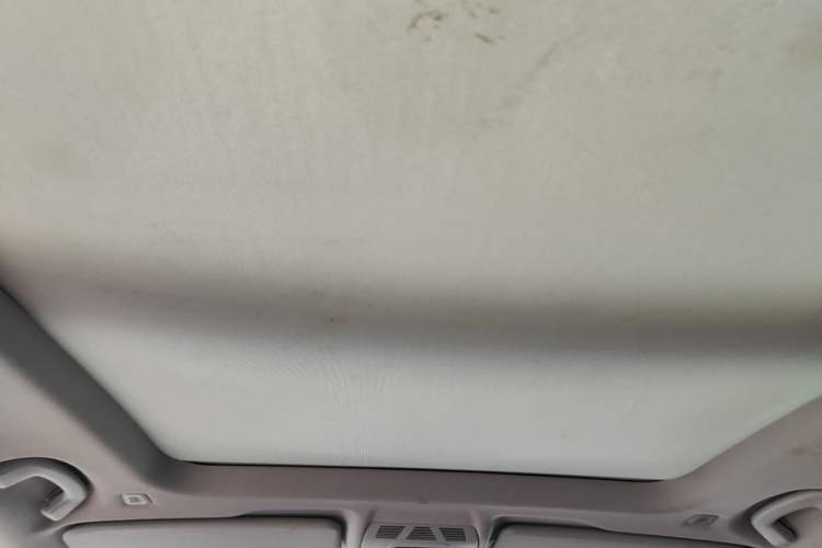 Used BMW X1 2020 sDrive25Li Leading Model Headliner