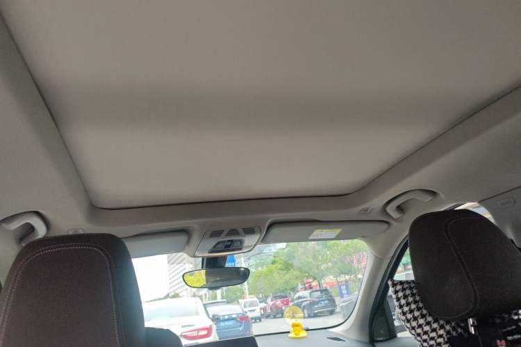 Used BMW X1 2020 sDrive20Li Premium Edition Headliner