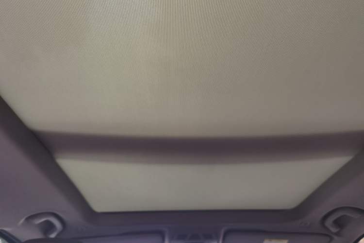 Used BMW X1 2020 sDrive20Li Premium Edition Headliner