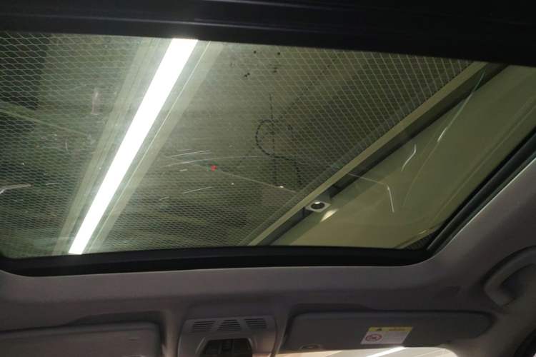 Used BMW X1 2020 sDrive20Li Premium Edition Headliner