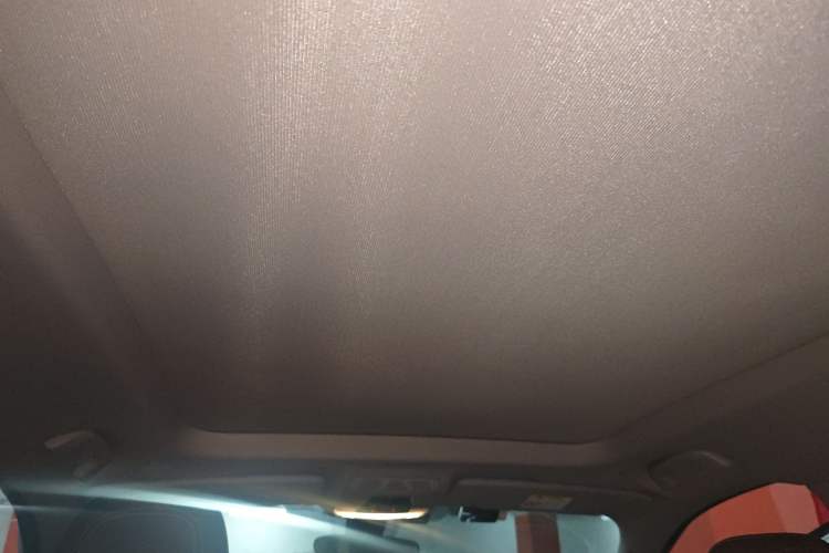 Used BMW X1 2020 sDrive20Li Fashion Model Headliner