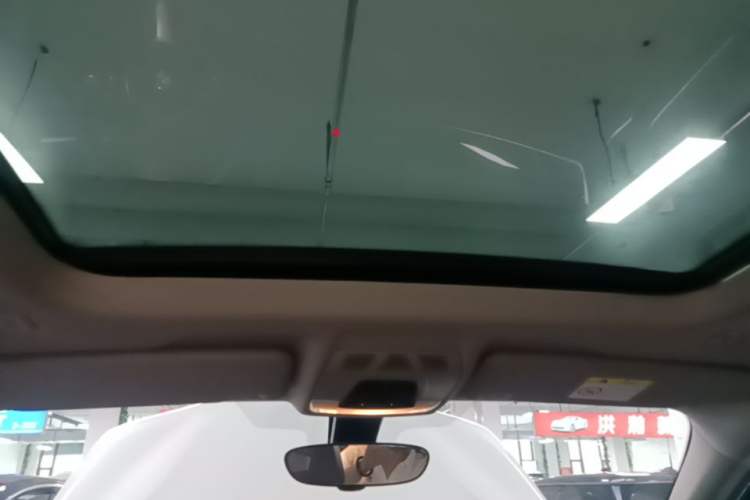 Used BMW X1 2020 sDrive20Li Premium Edition Headliner