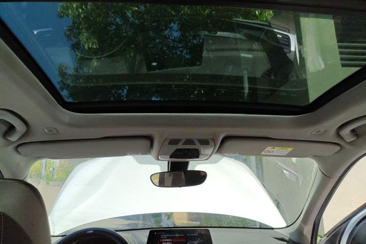 Used BMW X1 2020 sDrive20Li Premium Edition Headliner
