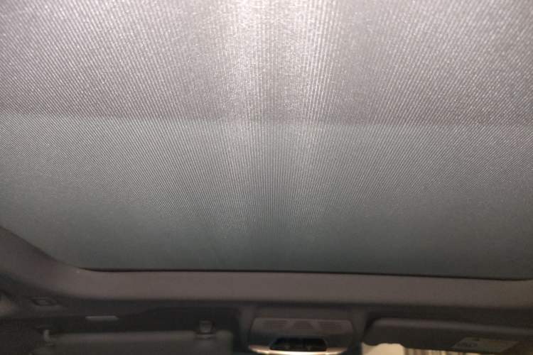 Used BMW X1 2020 sDrive25Li Leading Model Headliner