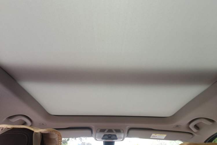 Used BMW X1 2020 sDrive25Li Leading Model Headliner