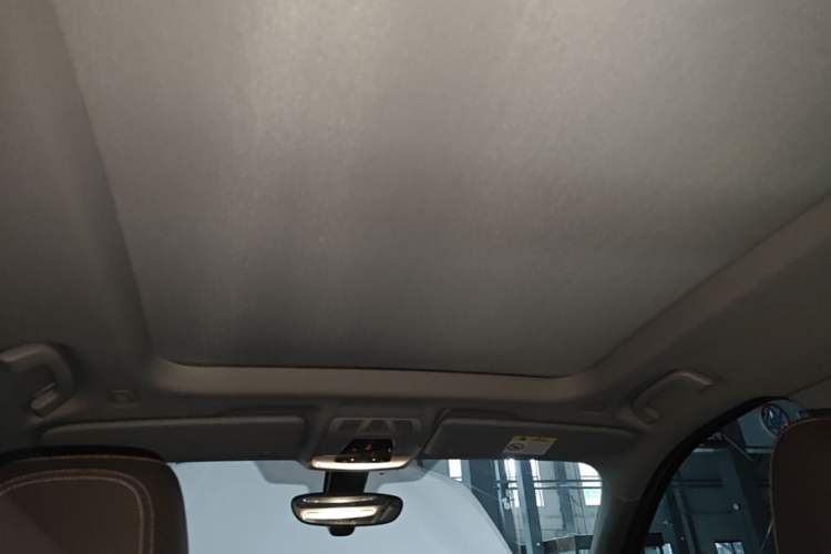 Used BMW X1 2020 sDrive20Li Fashion Model Headliner