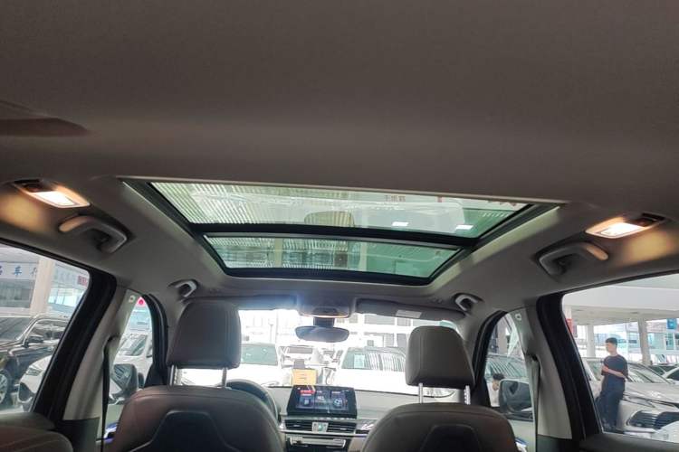 Used BMW X1 2020 sDrive20Li Premium Edition Headliner