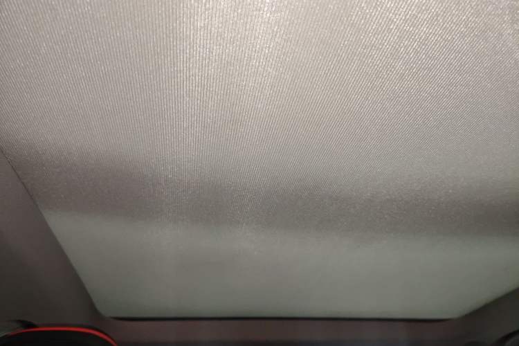 Used BMW X1 2020 sDrive25Li Leading Model Headliner