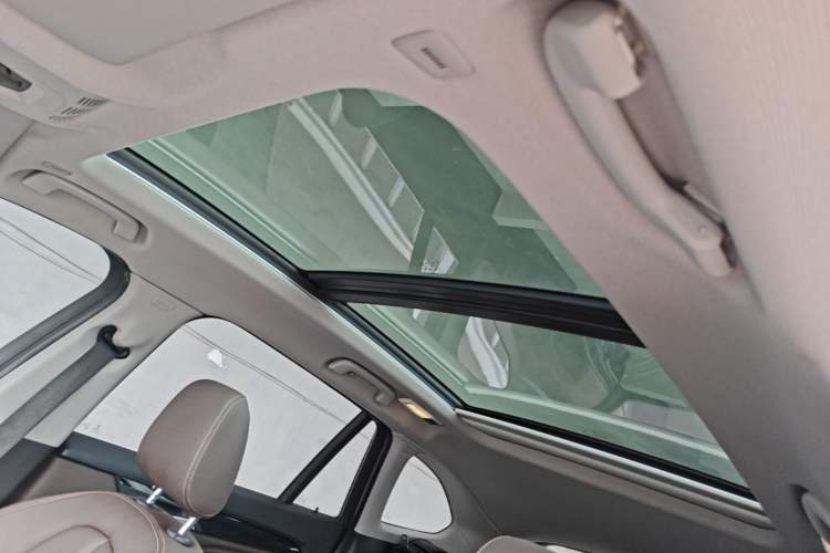Used BMW X1 2020 sDrive20Li Fashion Model Headliner