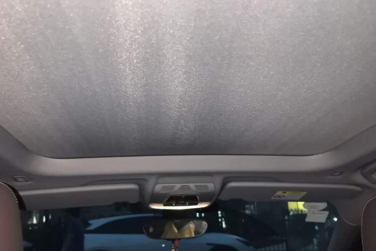 Used BMW X1 2020 sDrive25Li Leading Model Headliner