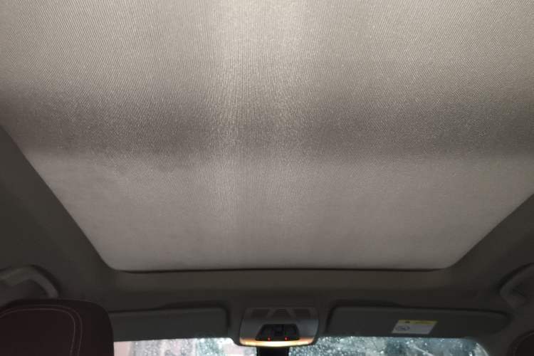 Used BMW X1 2020 sDrive20Li Fashion Model Headliner