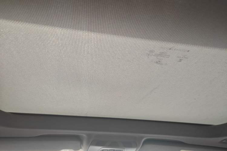 Used BMW X1 2020 sDrive20Li Fashion Model Headliner