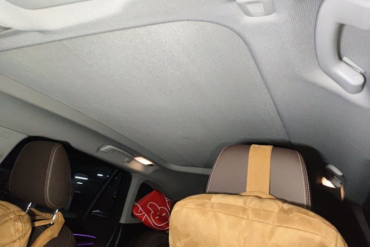 Used BMW X1 2020 xDrive25Li Luxury Edition Headliner