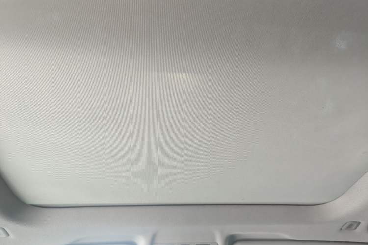 Used BMW X1 2020 sDrive20Li Fashion Model Headliner