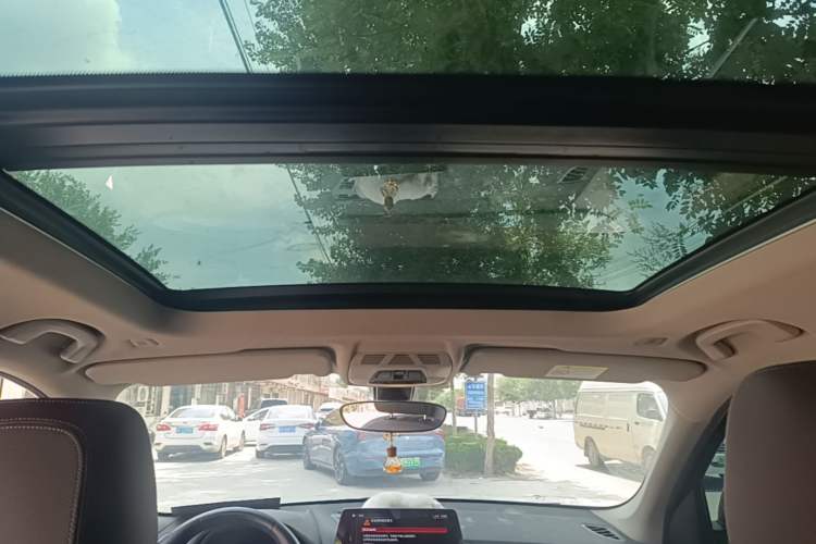 Used BMW X1 2020 sDrive25Li Leading Model Headliner
