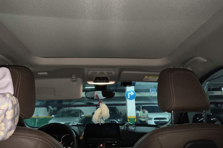Used BMW X1 2020 sDrive20Li Premium Edition Headliner