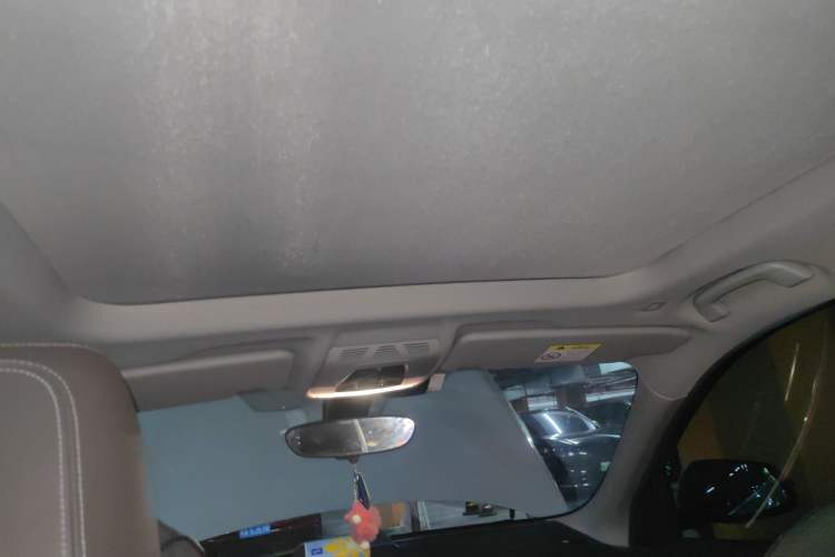 Used BMW X1 2020 sDrive20Li Fashion Model Headliner
