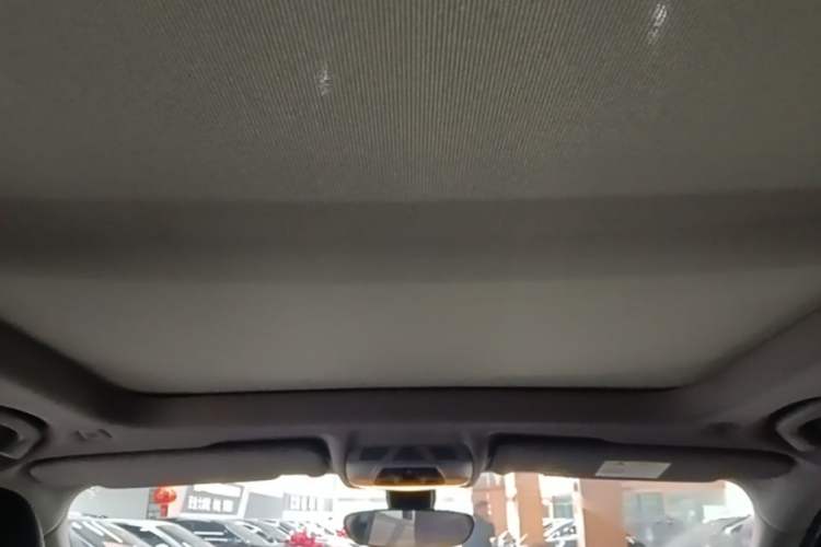 Used BMW X1 2020 sDrive20Li Premium Edition Headliner