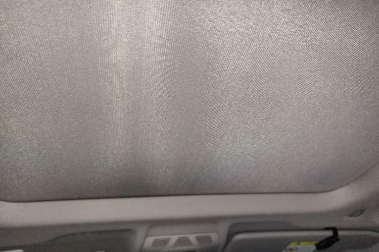 Used BMW X1 2020 sDrive20Li Fashion Model Headliner