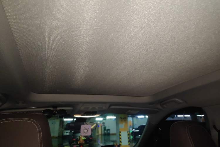 Used BMW X1 2020 sDrive20Li Premium Edition Headliner