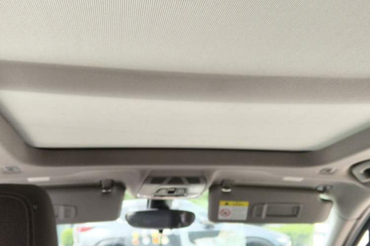 Used BMW X1 2020 sDrive25Li Leading Model Headliner