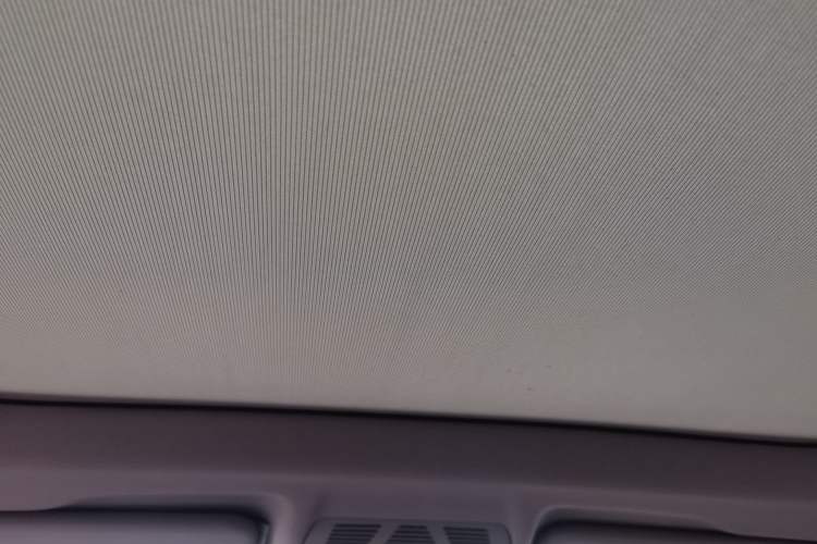 Used BMW X1 2020 sDrive20Li Fashion Model Headliner