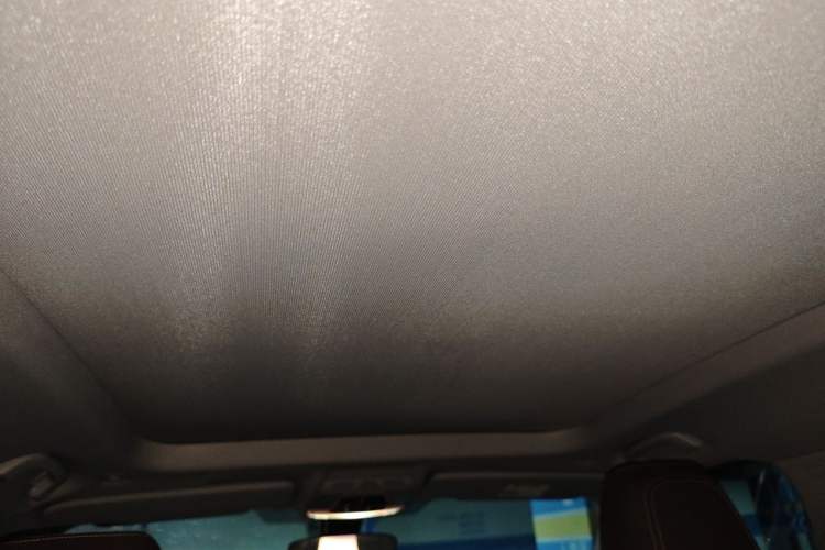 Used BMW X1 2020 sDrive25Li Leading Model Headliner