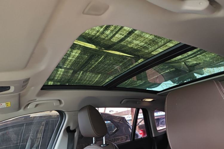 Used BMW X1 2020 sDrive20Li Fashion Model Headliner