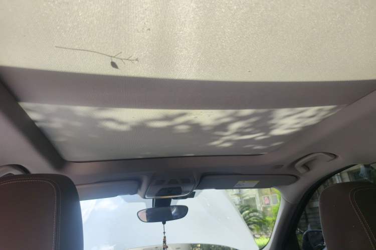 Used BMW X1 2020 sDrive20Li Premium Edition Headliner