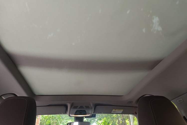 Used BMW X1 2020 sDrive20Li Fashion Model Headliner