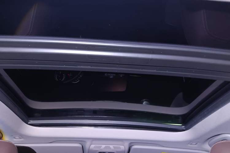 Used BMW X1 2020 sDrive20Li Premium Edition Headliner