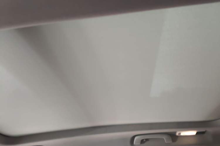 Used BMW X1 2020 sDrive25Li Leading Model Headliner