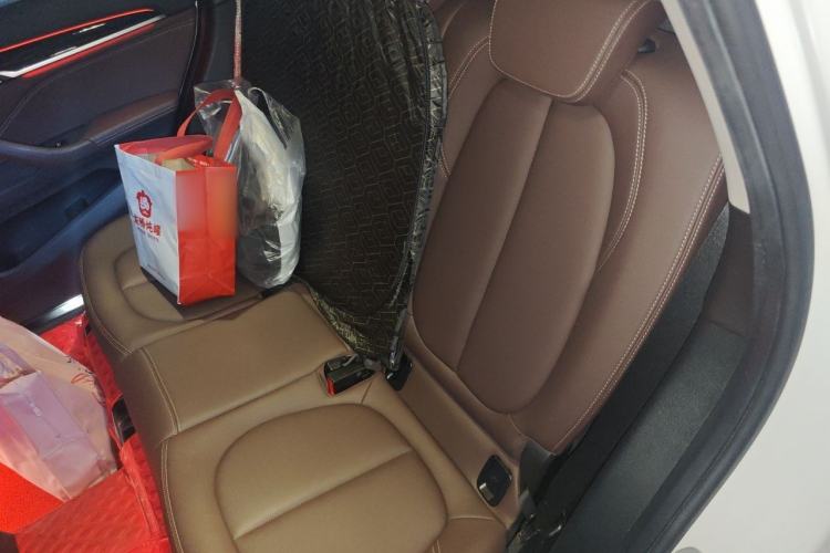 Used BMW X1 2020 xDrive25Li Luxury Edition Left Rear Seat