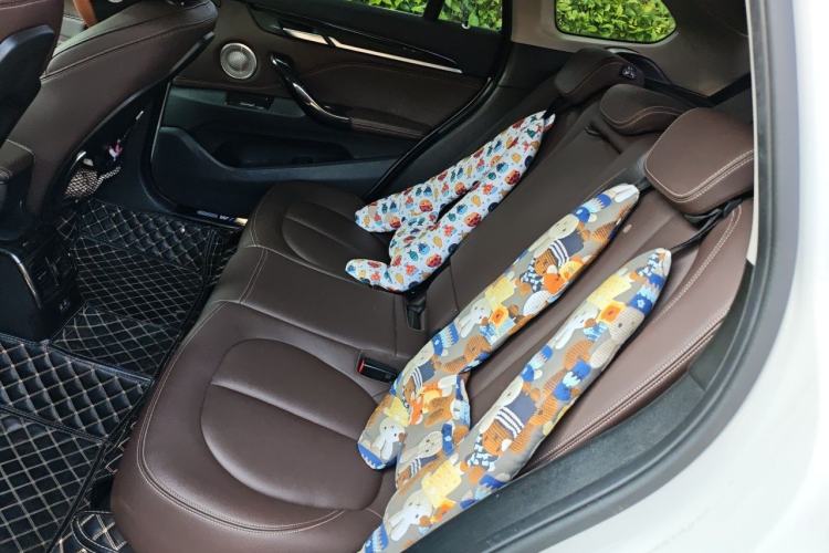 Used BMW X1 2020 xDrive25Li Luxury Edition Left Rear Seat