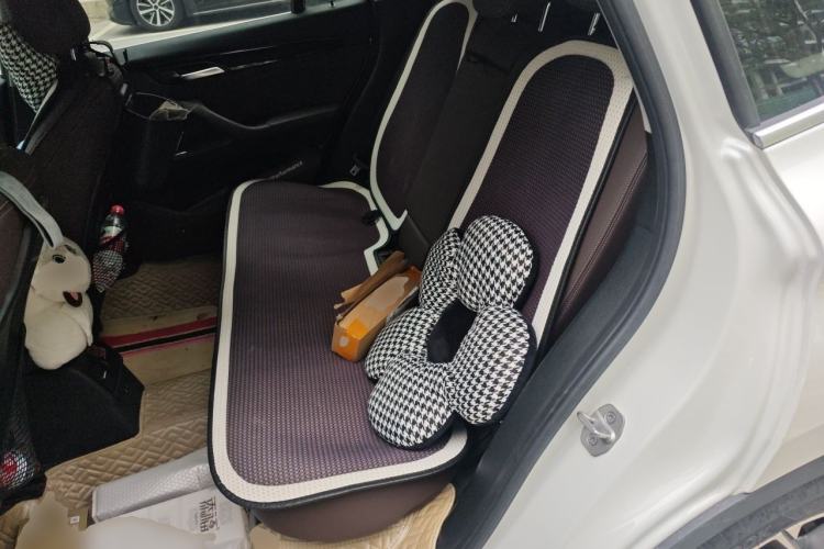 Used BMW X1 2020 sDrive20Li Premium Edition Left Rear Seat
