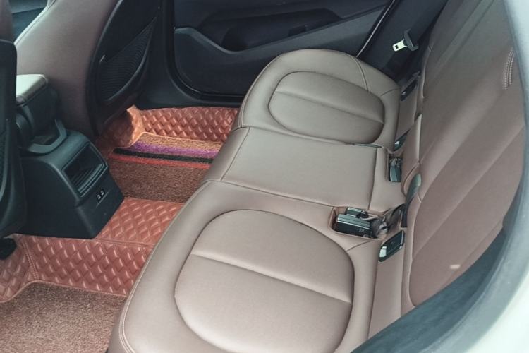 Used BMW X1 2020 sDrive20Li Fashion Model Left Rear Seat