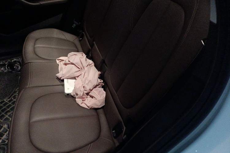 Used BMW X1 2020 sDrive20Li Premium Edition Left Rear Seat
