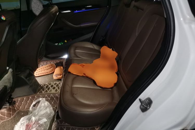 Used BMW X1 2020 sDrive20Li Fashion Model Left Rear Seat