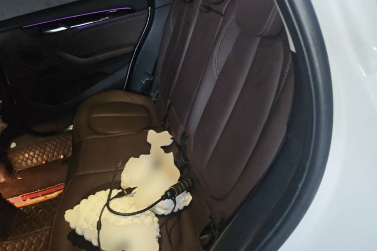 Used BMW X1 2020 sDrive20Li Premium Edition Left Rear Seat