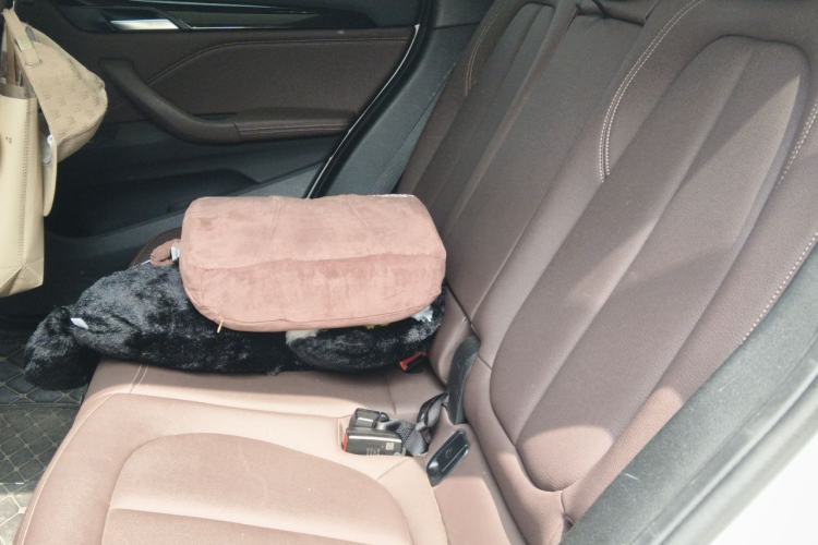 Used BMW X1 2020 sDrive25Li Leading Model Left Rear Seat
