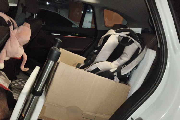 Used BMW X1 2020 sDrive20Li Fashion Model Left Rear Seat
