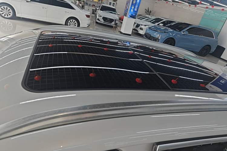Used BMW X1 2020 sDrive20Li Premium Edition Roof