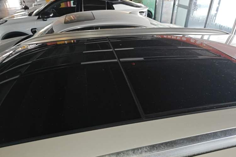 Used BMW X1 2020 sDrive20Li Fashion Model Roof
